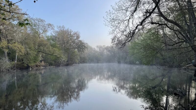 Dogwood Spring - High Springs, FL