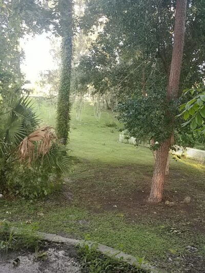 High Springs Sinkhole - High Springs, FL