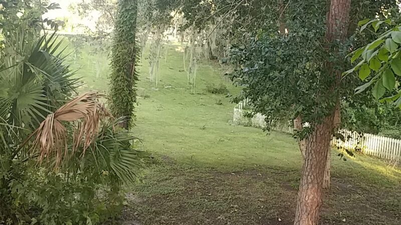 High Springs Sinkhole - High Springs, FL