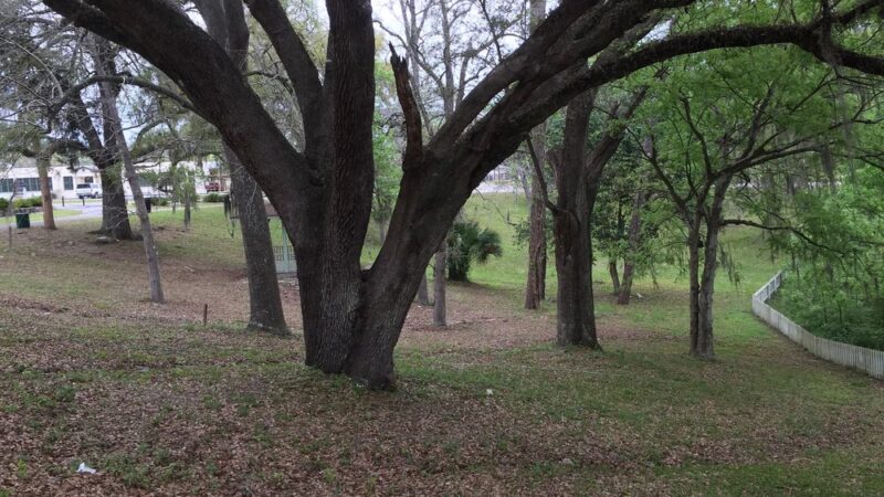 High Springs Sinkhole - High Springs, FL
