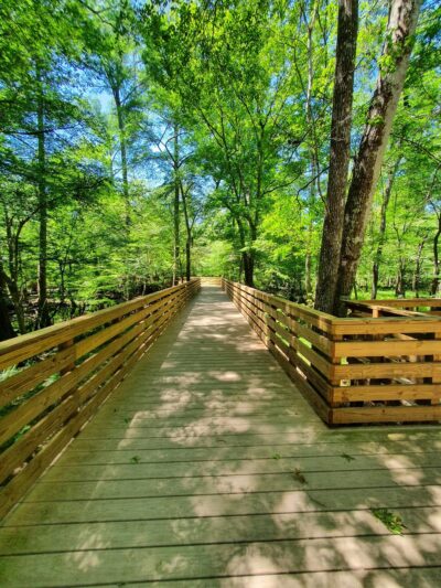 Poe Springs Park - High Springs, FL