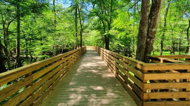 Poe Springs Park - High Springs, FL