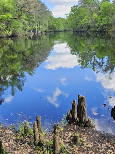 River Rise Preserve State Park - High Springs, FL
