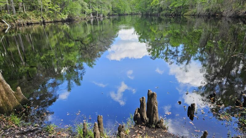 River Rise Preserve State Park - High Springs, FL