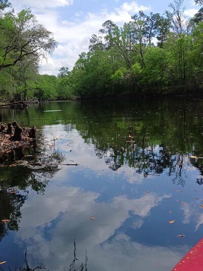 River Rise Preserve State Park - High Springs, FL