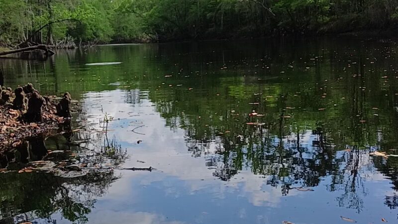 River Rise Preserve State Park - High Springs, FL