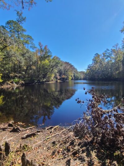 River Rise Preserve State Park - High Springs, FL
