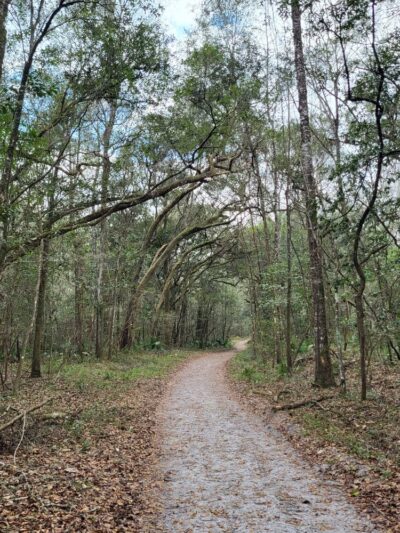 River Rise Preserve State Park - High Springs, FL