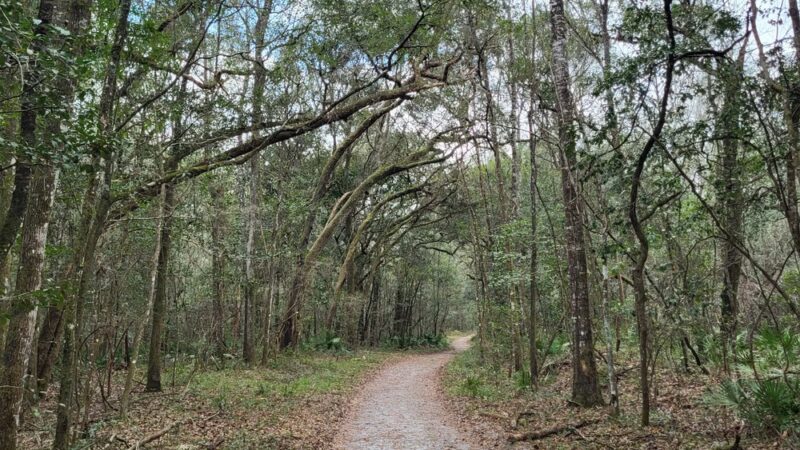 River Rise Preserve State Park - High Springs, FL