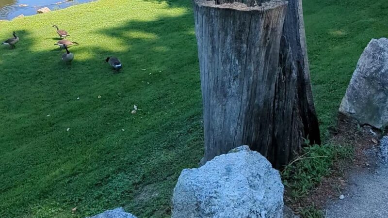 Roe Park - Highland Falls, NY