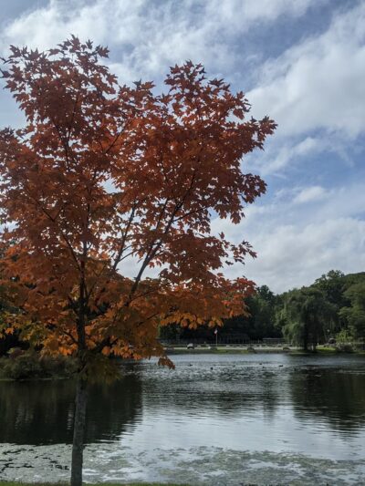 Roe Park - Highland Falls, NY