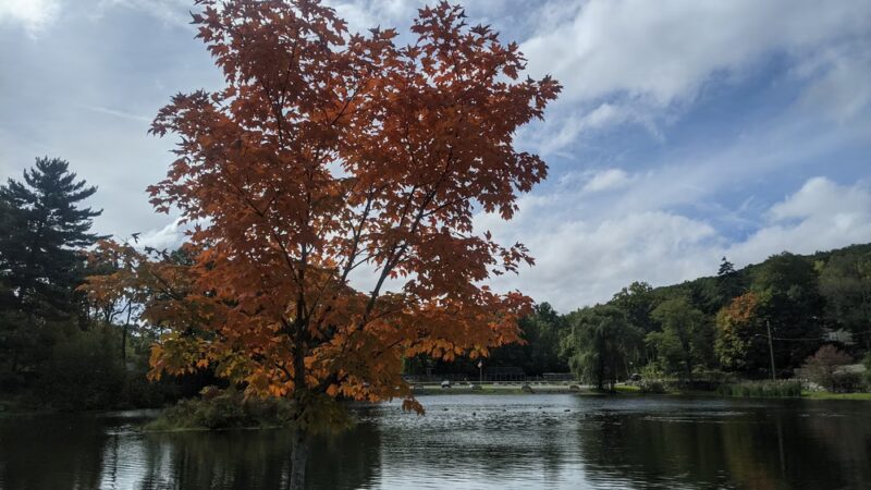 Roe Park - Highland Falls, NY