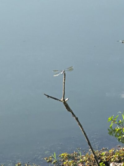 Roe Park - Highland Falls, NY