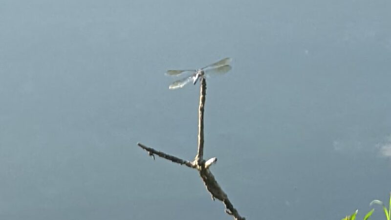 Roe Park - Highland Falls, NY