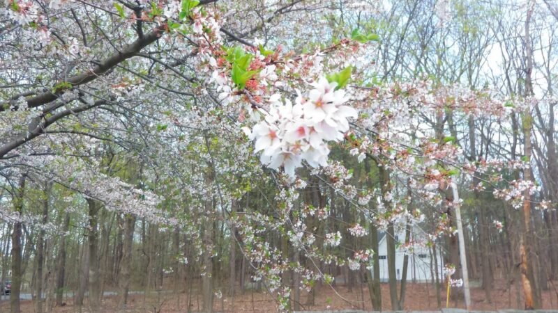 Veterans' Park - Highland Falls, NY