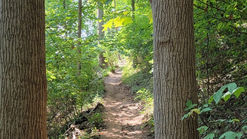 Hartshorne Woods Park, Rocky Point entrance - Highlands, NJ