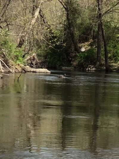 H. Pierson Mapes Flat Rock Park - Hillburn, NY