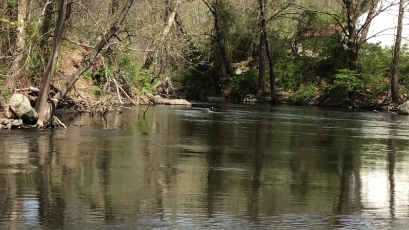 H. Pierson Mapes Flat Rock Park - Hillburn, NY