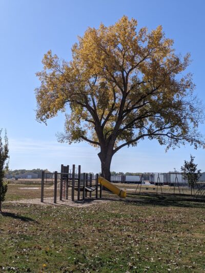 Hills City Park - Hills, IA