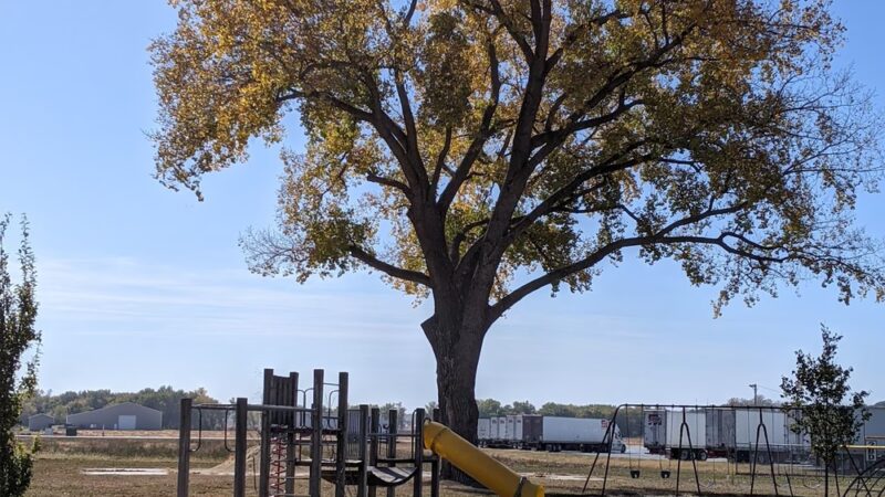 Hills City Park - Hills, IA