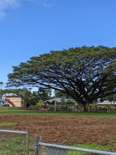 Clem Akina Park - Hilo, HI
