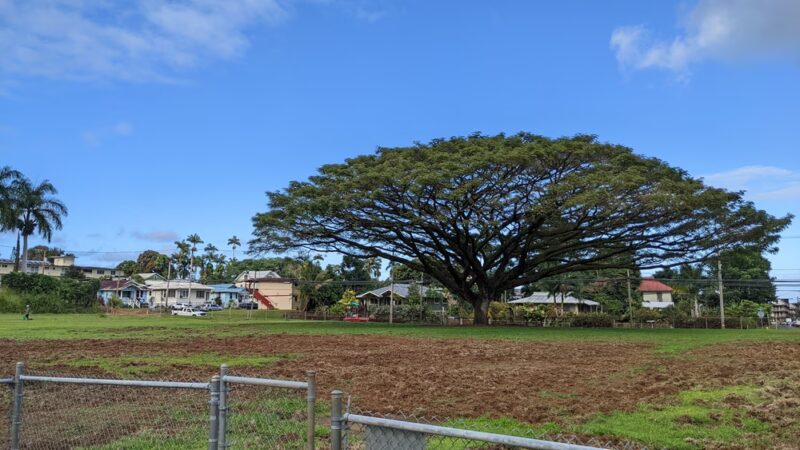 Clem Akina Park - Hilo, HI
