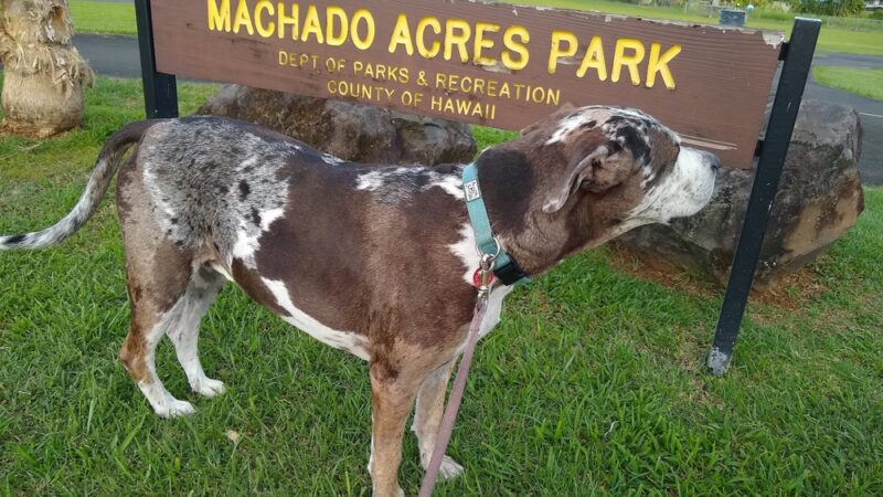 Machado Acres Park - Hilo, HI