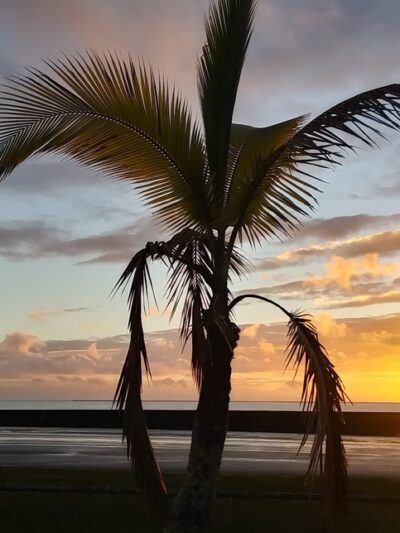 Mo'oheau Park - Hilo, HI