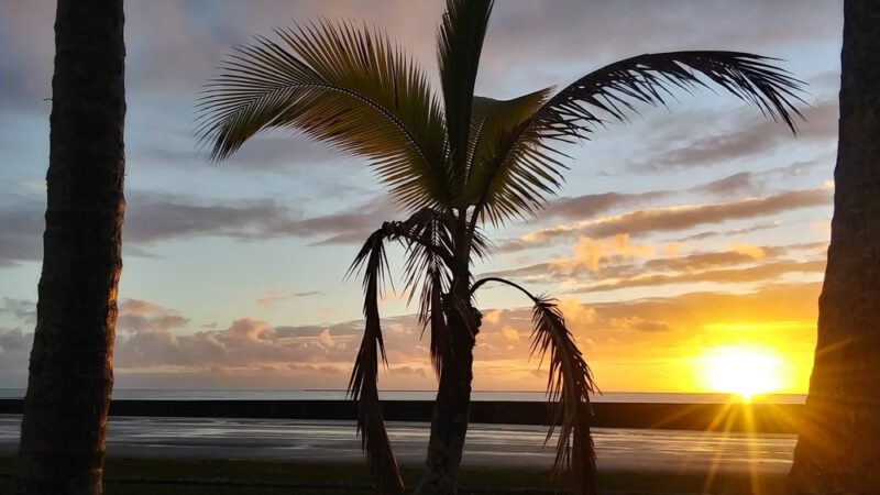 Mo'oheau Park - Hilo, HI