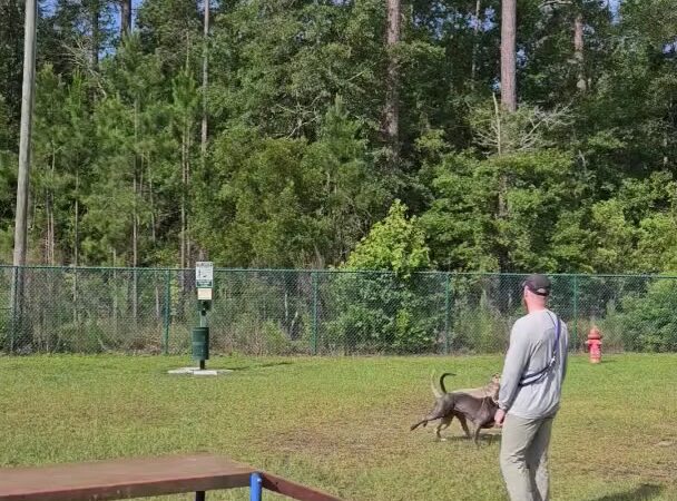 Fort Stewart Dog Park - Hinesville, GA
