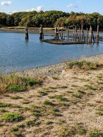 Bare Cove Park - Hingham, MA