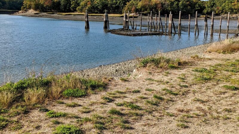 Bare Cove Park - Hingham, MA