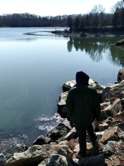 Bare Cove Park - Hingham, MA