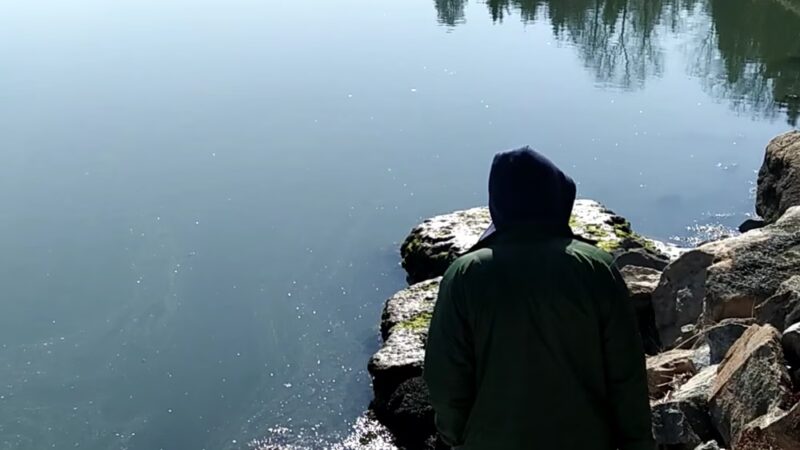 Bare Cove Park - Hingham, MA