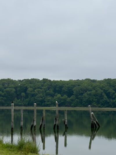 Bare Cove Park - Hingham, MA