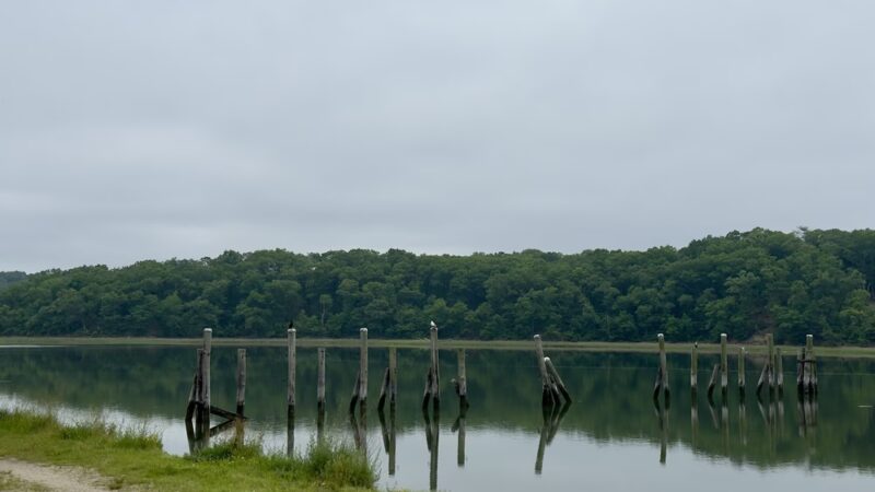 Bare Cove Park - Hingham, MA