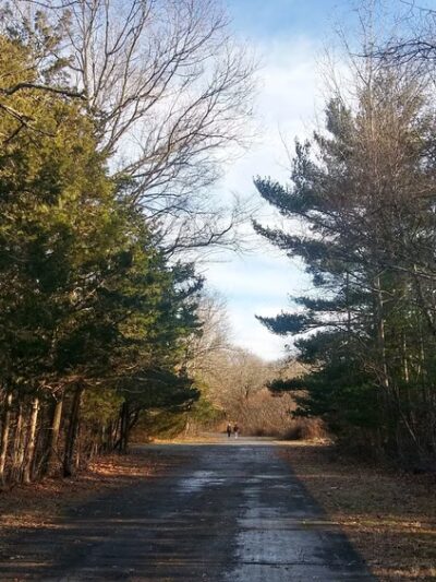 Bare Cove Park - Hingham, MA