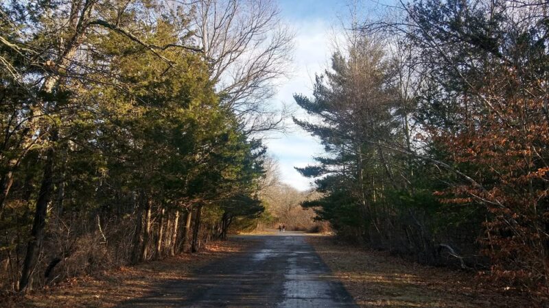 Bare Cove Park - Hingham, MA