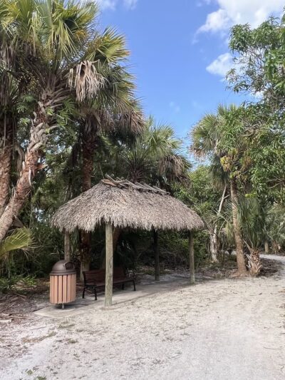 Gomez Preserve Nature Trail - Hobe Sound, FL