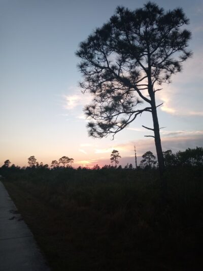 Gomez Preserve Nature Trail - Hobe Sound, FL