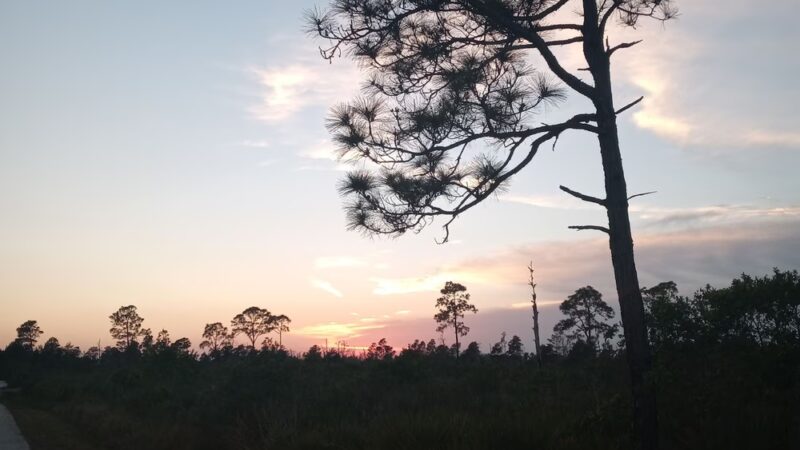Gomez Preserve Nature Trail - Hobe Sound, FL