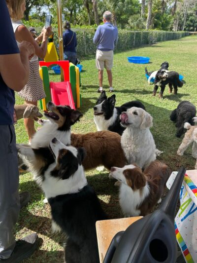 Hobe Sound Country Club Kennels - Hobe Sound, FL