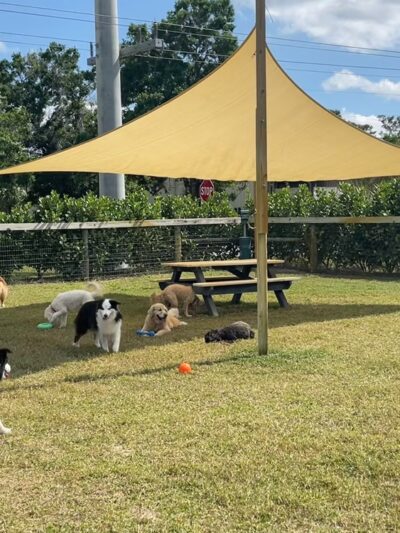Hobe Sound Country Club Kennels - Hobe Sound, FL