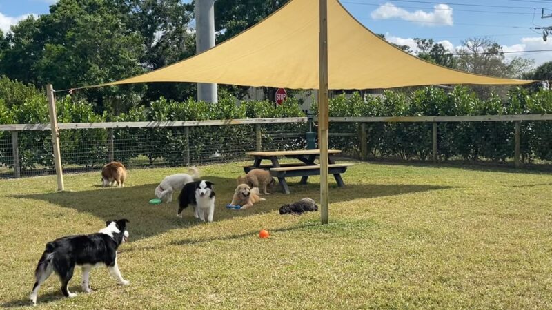 Hobe Sound Country Club Kennels - Hobe Sound, FL
