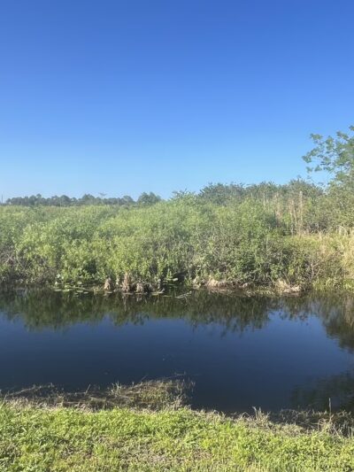 Kitching Creek Preserve - Hobe Sound, FL