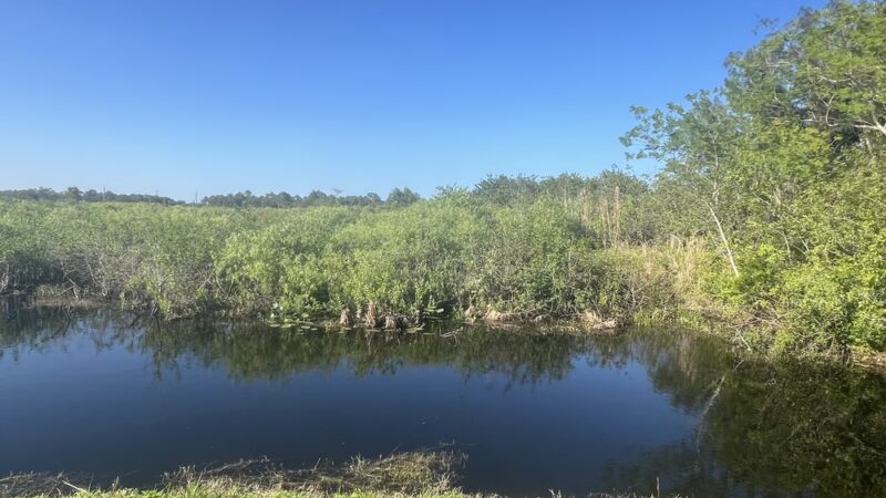 Kitching Creek Preserve - Hobe Sound, FL