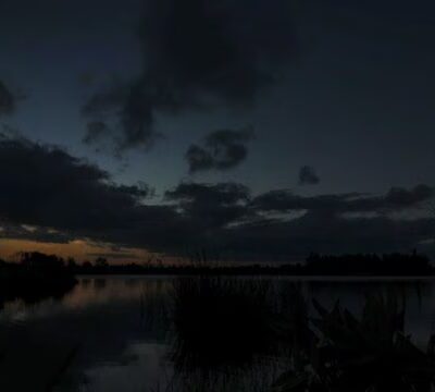 Kitching Creek Preserve - Hobe Sound, FL