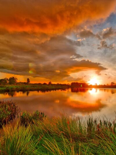 Kitching Creek Preserve - Hobe Sound, FL