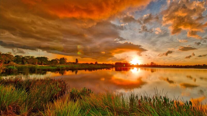 Kitching Creek Preserve - Hobe Sound, FL