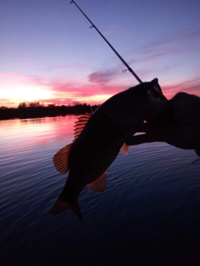 Kitching Creek Preserve - Hobe Sound, FL